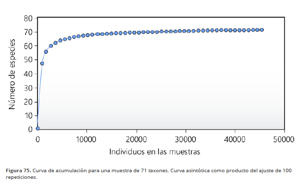 Imagen11