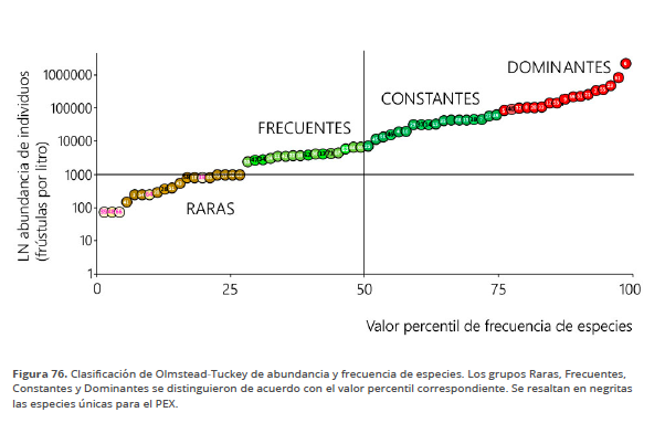 Imagen11