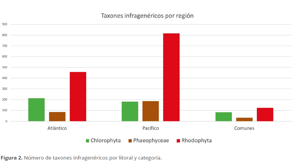 PDF) Catálogo de las algas marinas bentónicas del Pacífico de México. I.  Chlorophycota