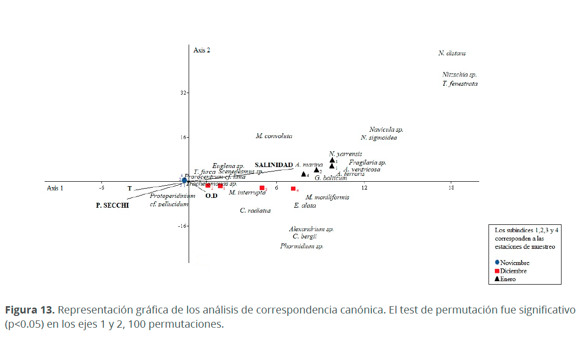 Imagen013