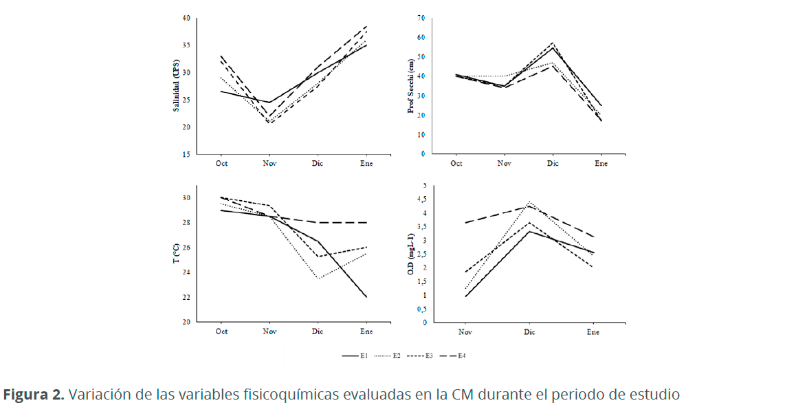 Imagen02