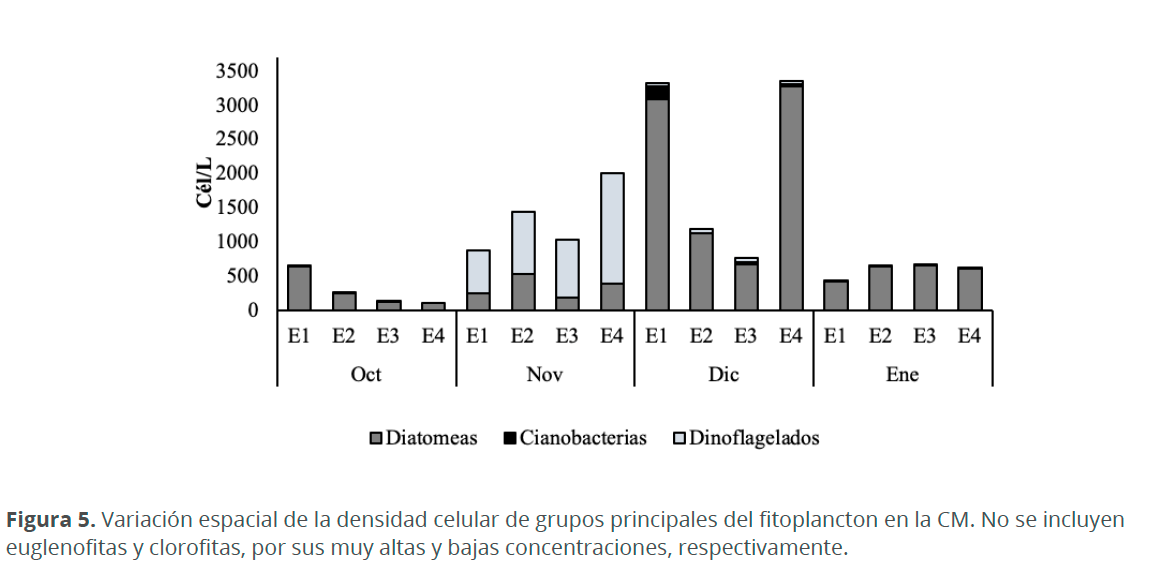 Imagen05