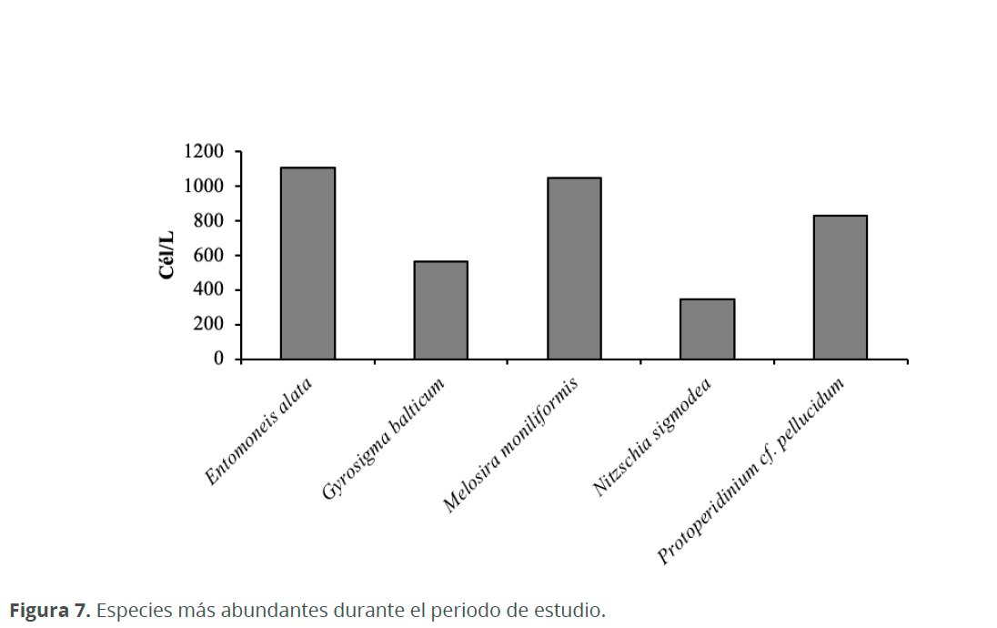 Imagen07